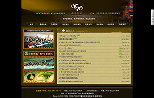 贵州华之美贸易有限责任公司广告代理业务概览