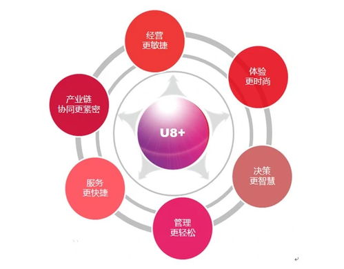探究用友U8财务管理软件价格与广告代理业务